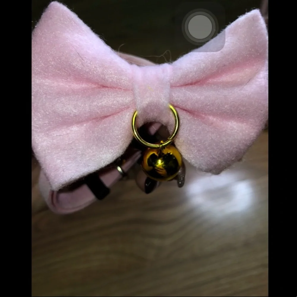 SHEIN Bow Cat Collar